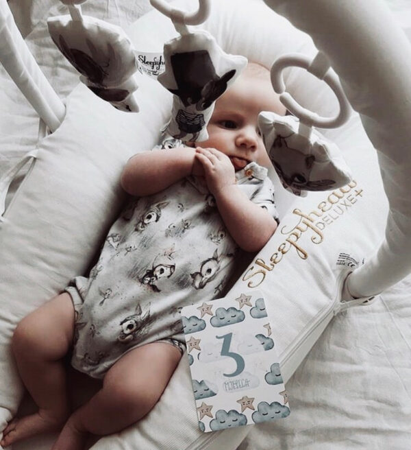 Milestone kartice za fotografiranje beba "Baby boy" - Slika 2