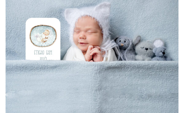 Milestone kartice za fotografiranje beba "Baby boy" - Slika 3